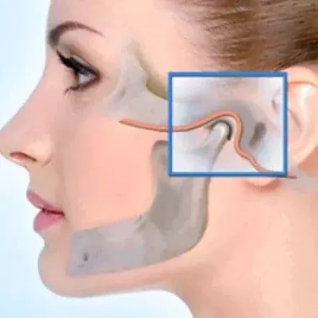 гнатолог Львів